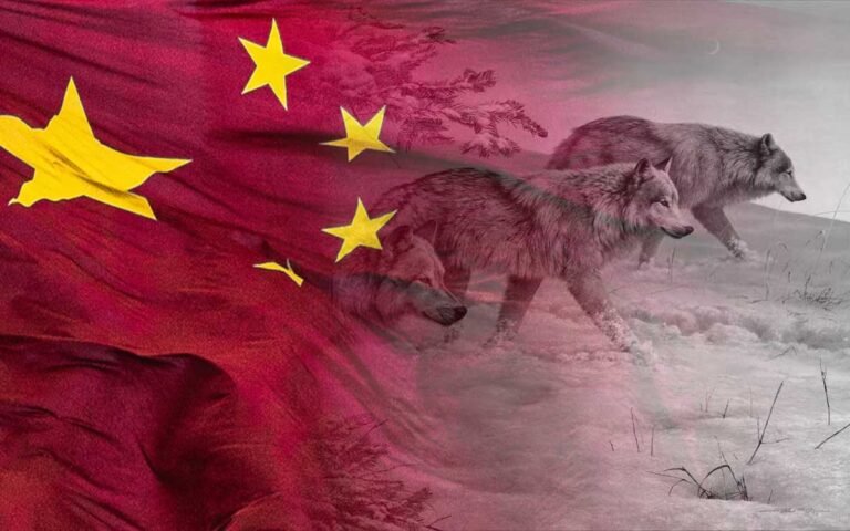 China’s howling wolves in the Year of the Rabid Rabbit
